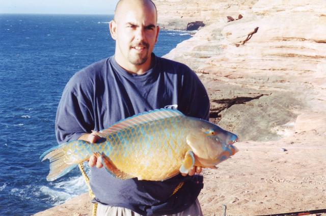 Parrot Fish